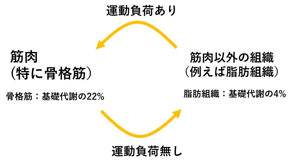 甘やかしダイエット11
