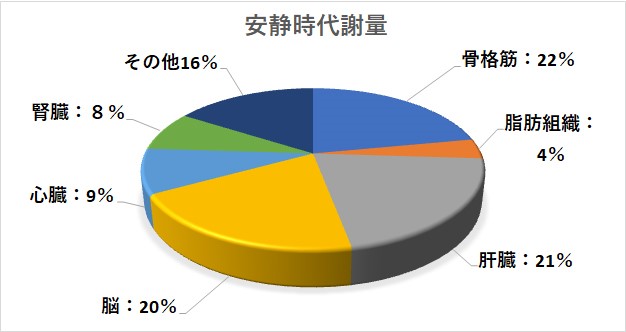 甘やかしダイエット12
