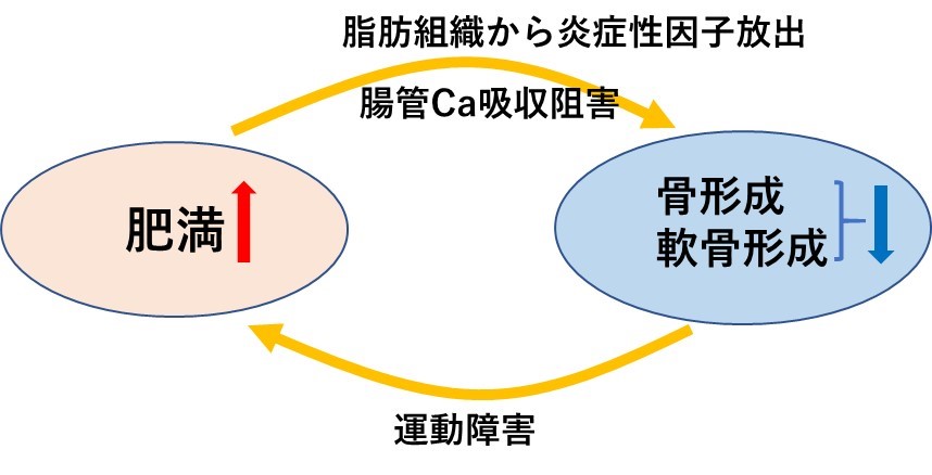 甘やかしダイエット10