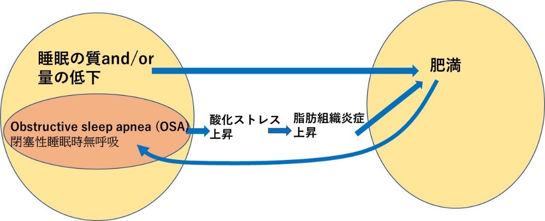 甘やかしダイエット8