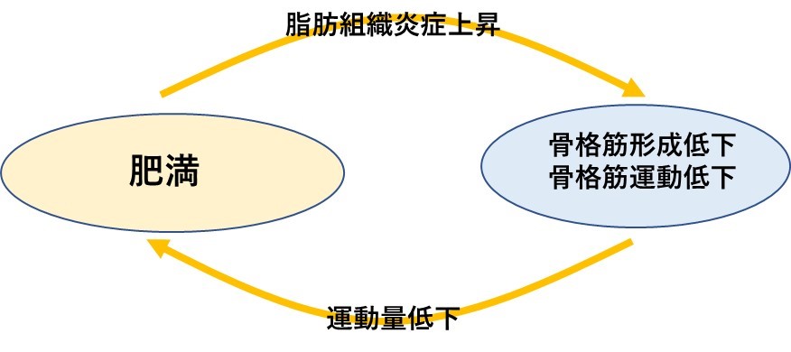 甘やかしダイエット9