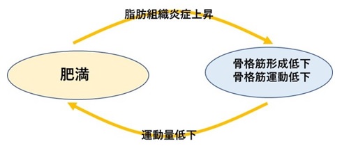 甘やかしダイエット23