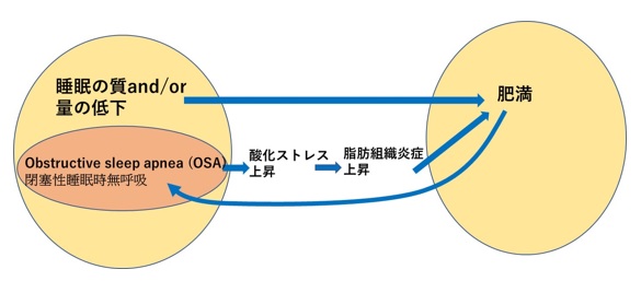甘やかしダイエット25
