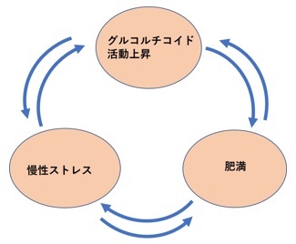 甘やかしダイエット7