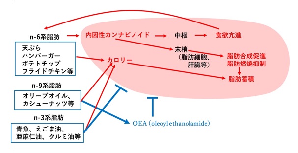 甘やかしダイエット16