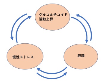 甘やかしダイエット18