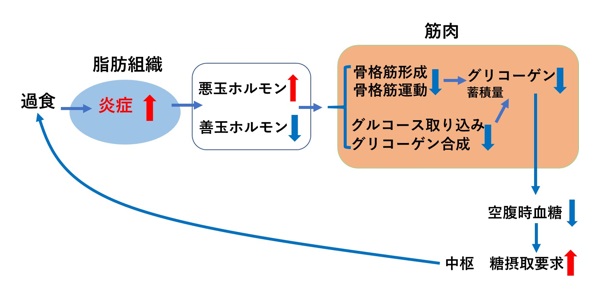 甘やかしダイエット19