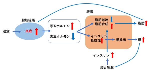 甘やかしダイエット20